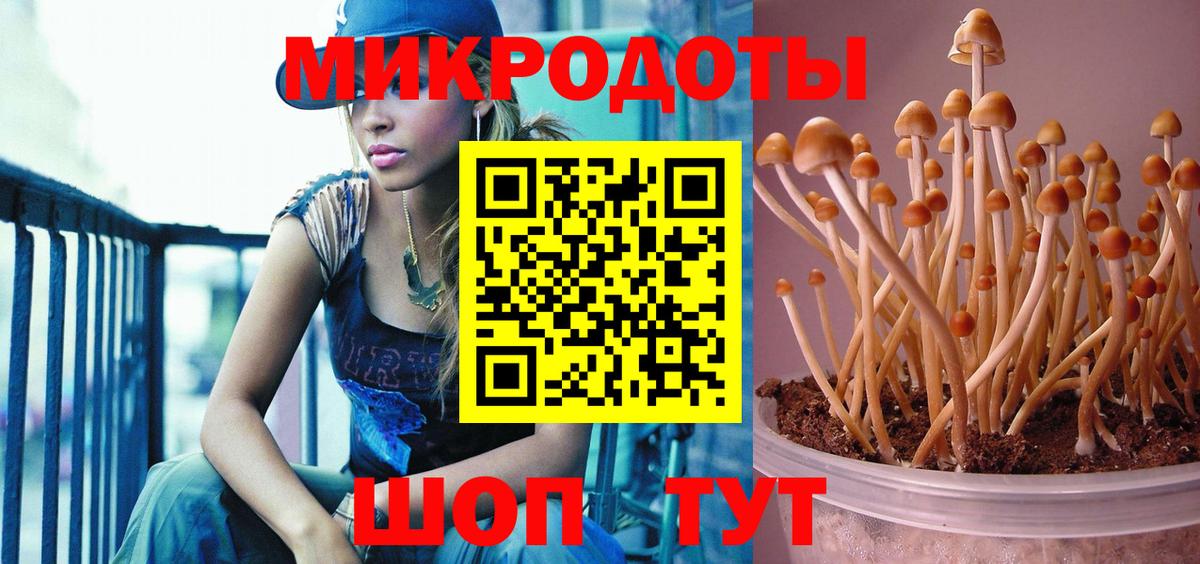 Оренбург  Псилоцибиновые грибы Cubensis  купить закладку  Вход с VPN 